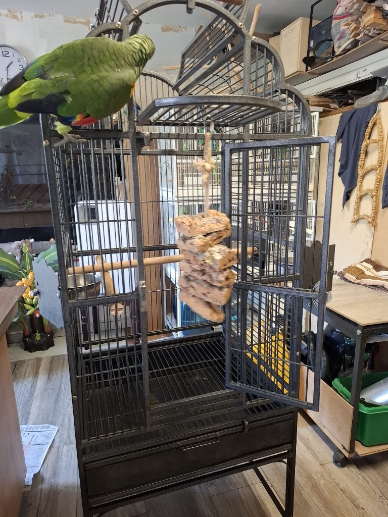 2 x vogel kooi Veel keuze in parkieten papegaai, Ophalen, Zo goed als nieuw, Metaal, Vogelkooi