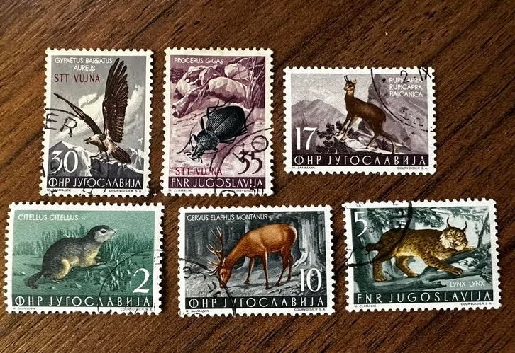 Joegoslavië 1954 Dieren en Vogels Postzegels - Gestempeld, Ophalen of Verzenden, Gestempeld