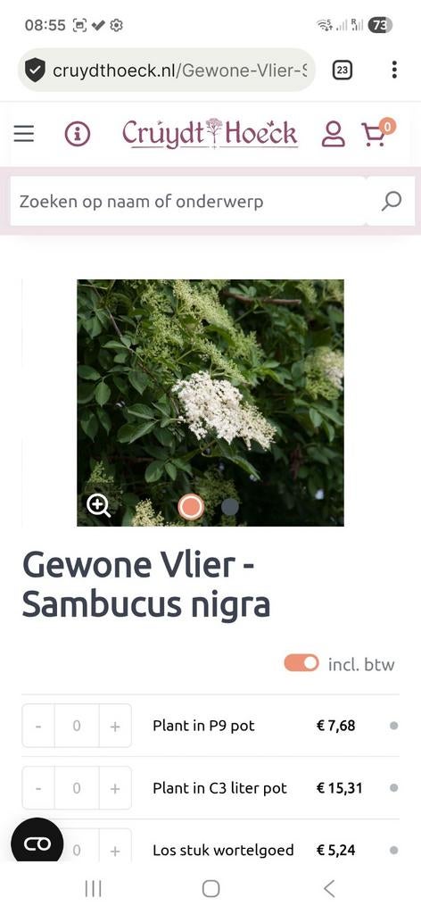 GRATIS - Gewone vlier, Ophalen, Overige soorten, Struik, 100 tot 250 cm