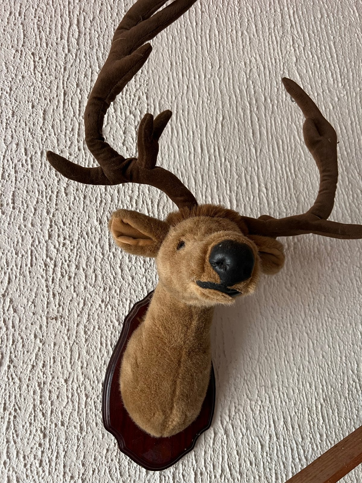 Rudolf voor he kinderkamer, Ophalen of Verzenden