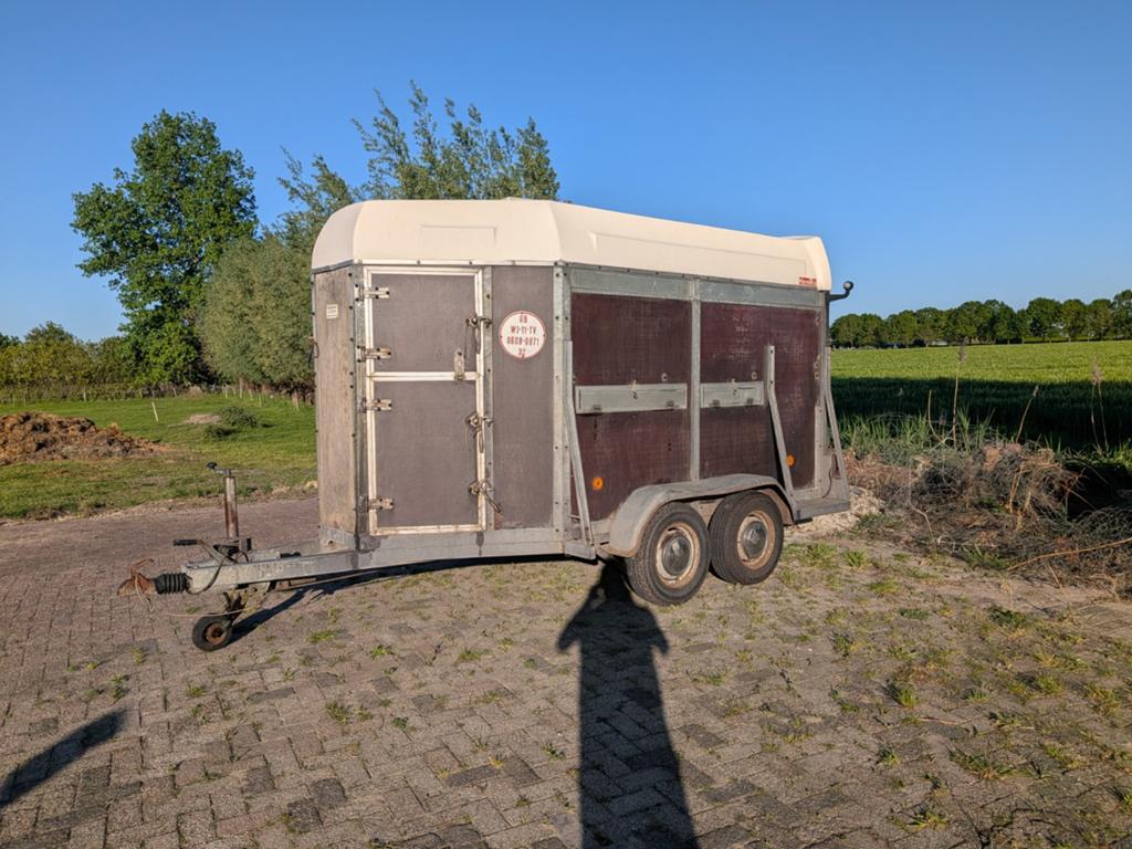Veetrailer veewagen henra, Dieren en Toebehoren, Schapen, Geiten en Varkens, Mannelijk, Geit