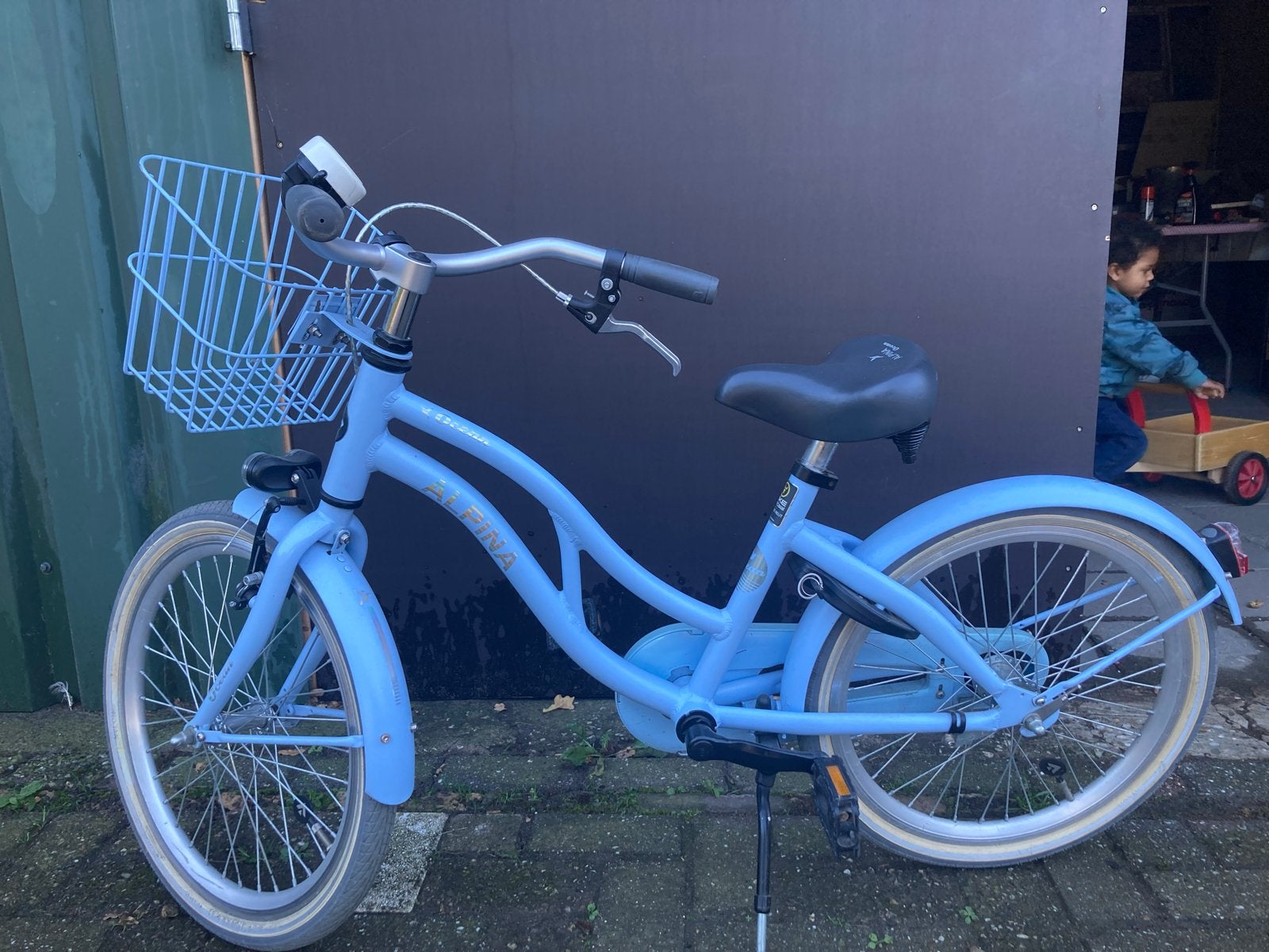 Alpina Meisjesfiets 20 inch - Zo goed als nieuw!, Ophalen, Terugtraprem, 20 inch, Handrem