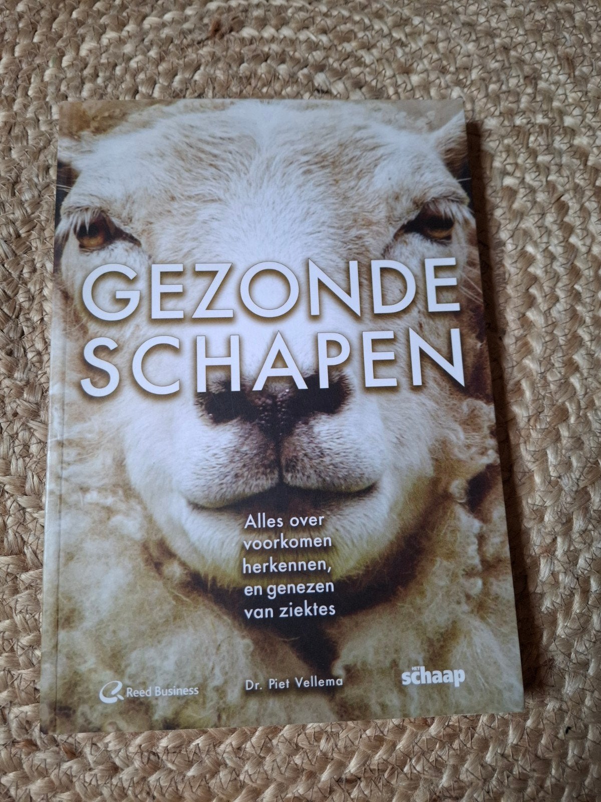 Gezonde Schapen: Voorkomen, herkennen en genezen van ziektes, Ophalen of Verzenden, Gelezen, Vee, Dr. Piet Vellema