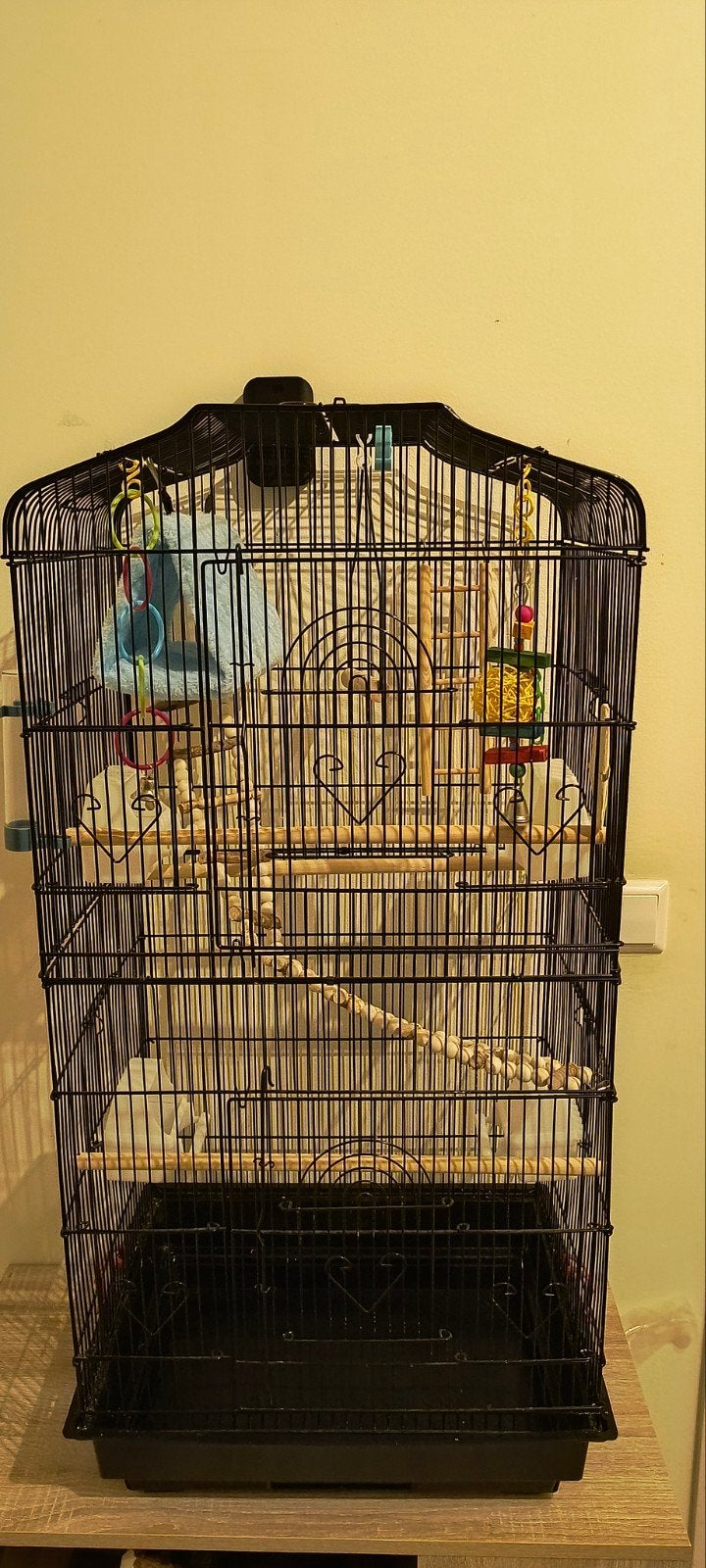 Vogelkooi, Ophalen, Metaal, Vogelkooi