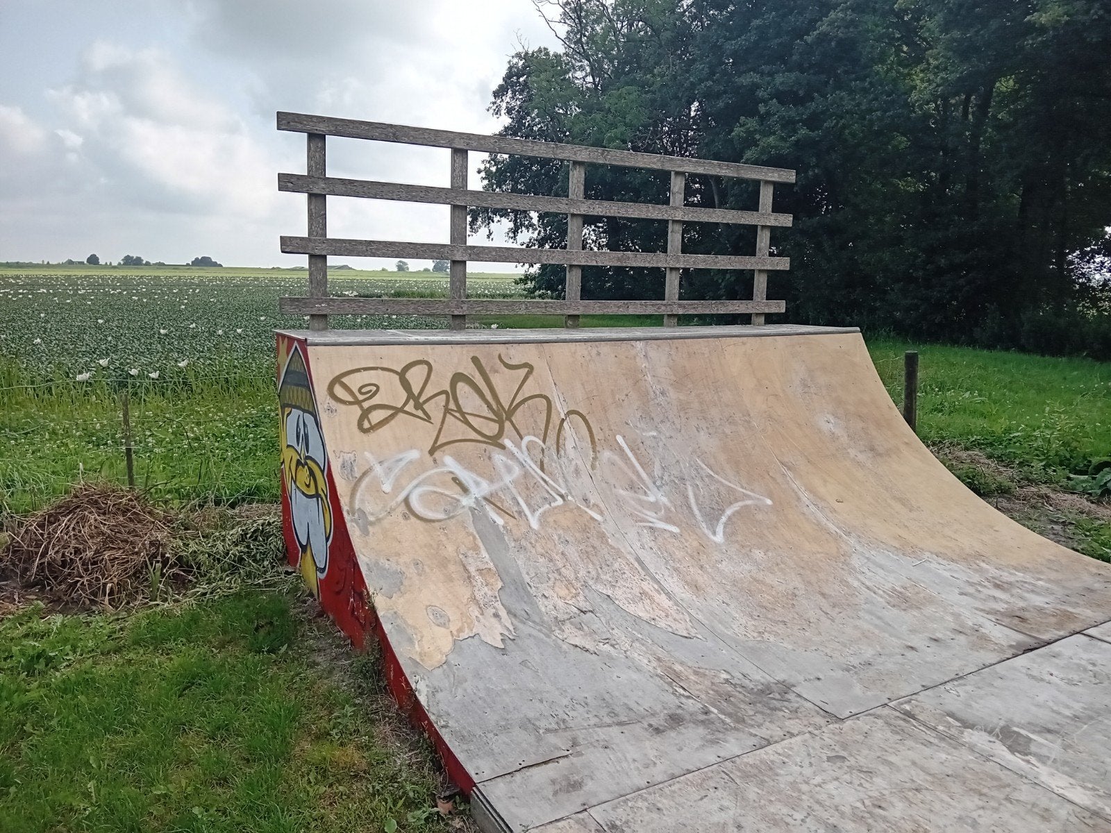 Gebruikte skateboard ramp/quarterpipe, Ophalen, Gebruikt, Overige typen