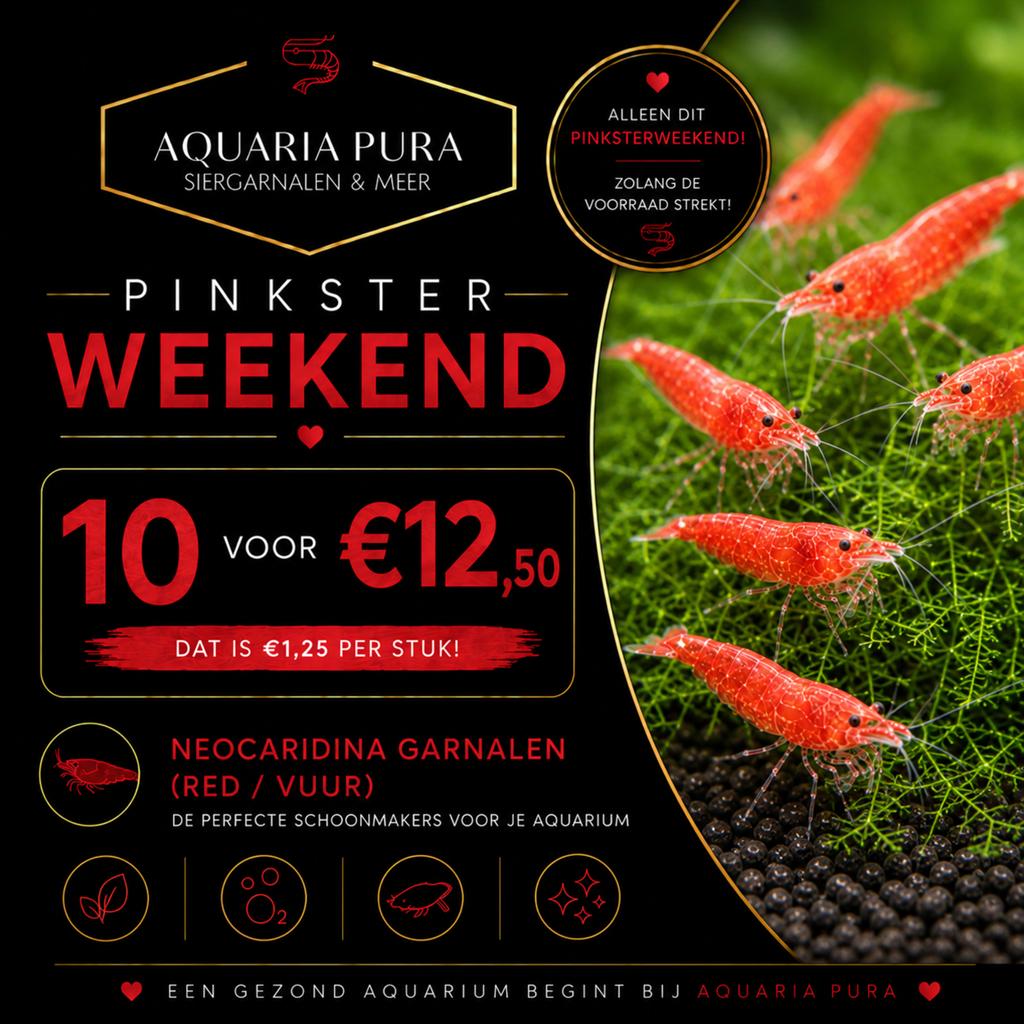 Aquaria pura pinksteraanbiedingen, Dieren en Toebehoren, Vissen | Aquaria en Toebehoren, Ophalen, Nieuw, Leeg aquarium