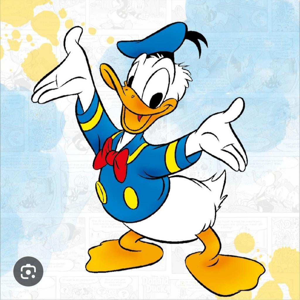 Donald Duck- ik ZOEK 4 nr. jaar 2012/ 17, 20, 21, 22, Donald Duck, Meerdere stripboeken, Ophalen, Gelezen