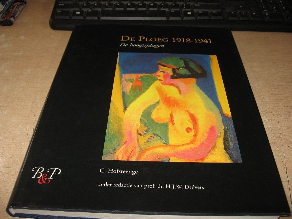 C.Hofsteenge    De Ploeg,de hoogtijdagen...1918 - 1941, Boeken, Ophalen of Verzenden, Zo goed als nieuw, Schilder- en Tekenkunst