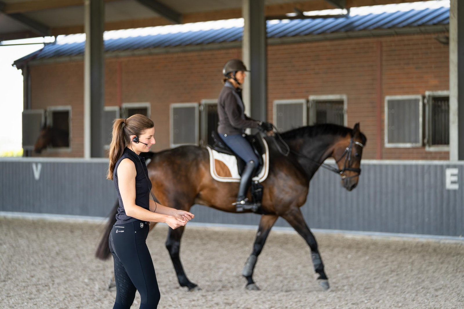 Aangeboden: Dressuurles, Ruiter of Bijrijder