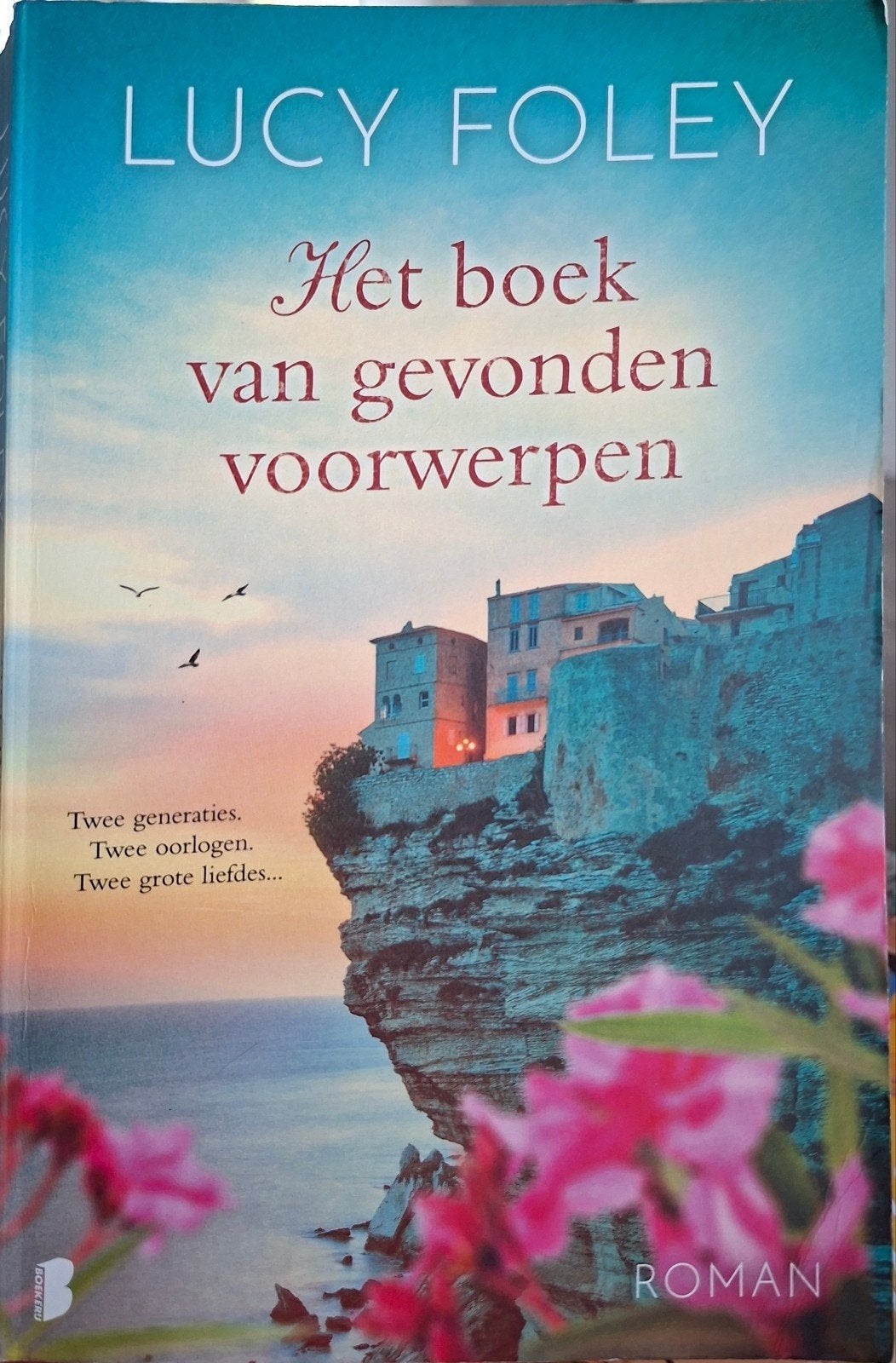 Het boek van gevonden voorwerpen - Lucy Foley (Roman), Ophalen of Verzenden, Gelezen, Lucy Foley, Nederland