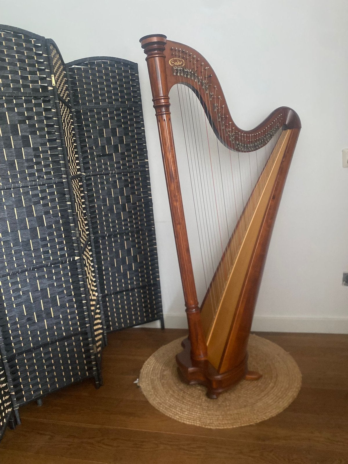 Salvi Ana harp (38 snaren, darm), Muziek en Instrumenten, Ophalen, Gebruikt