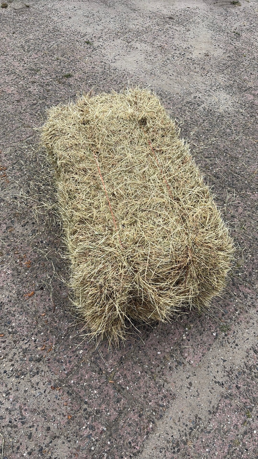 Pakjes hooi, Dieren en Toebehoren, Ophalen, Vee