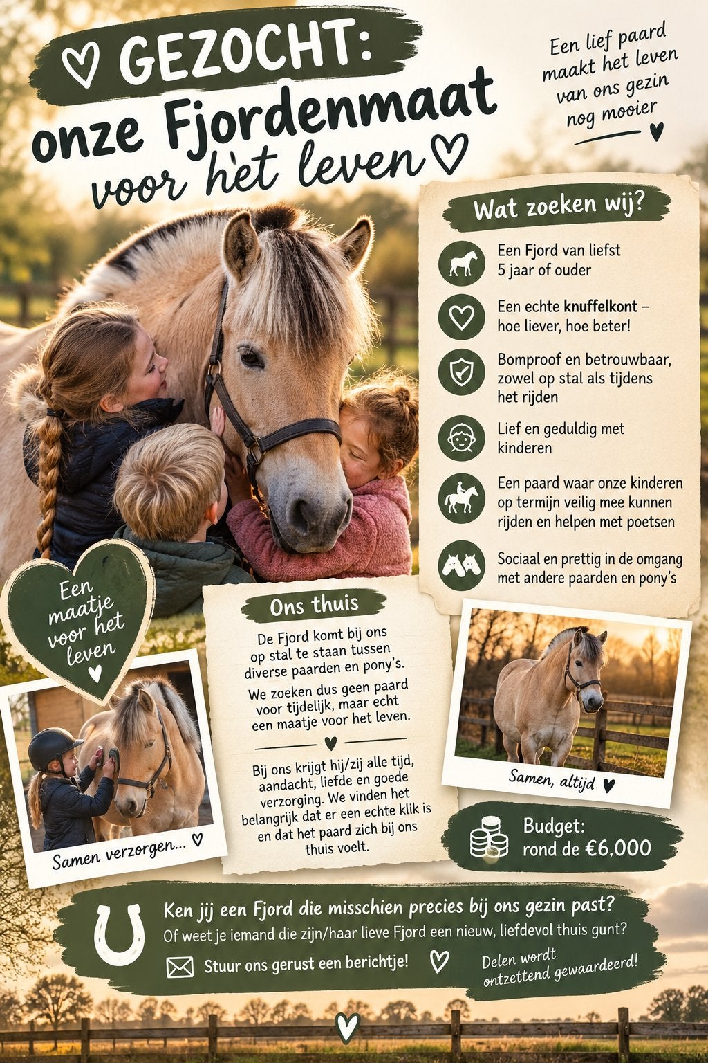 Gezocht lieve Fjord, Ophalen, Paarden of Pony's