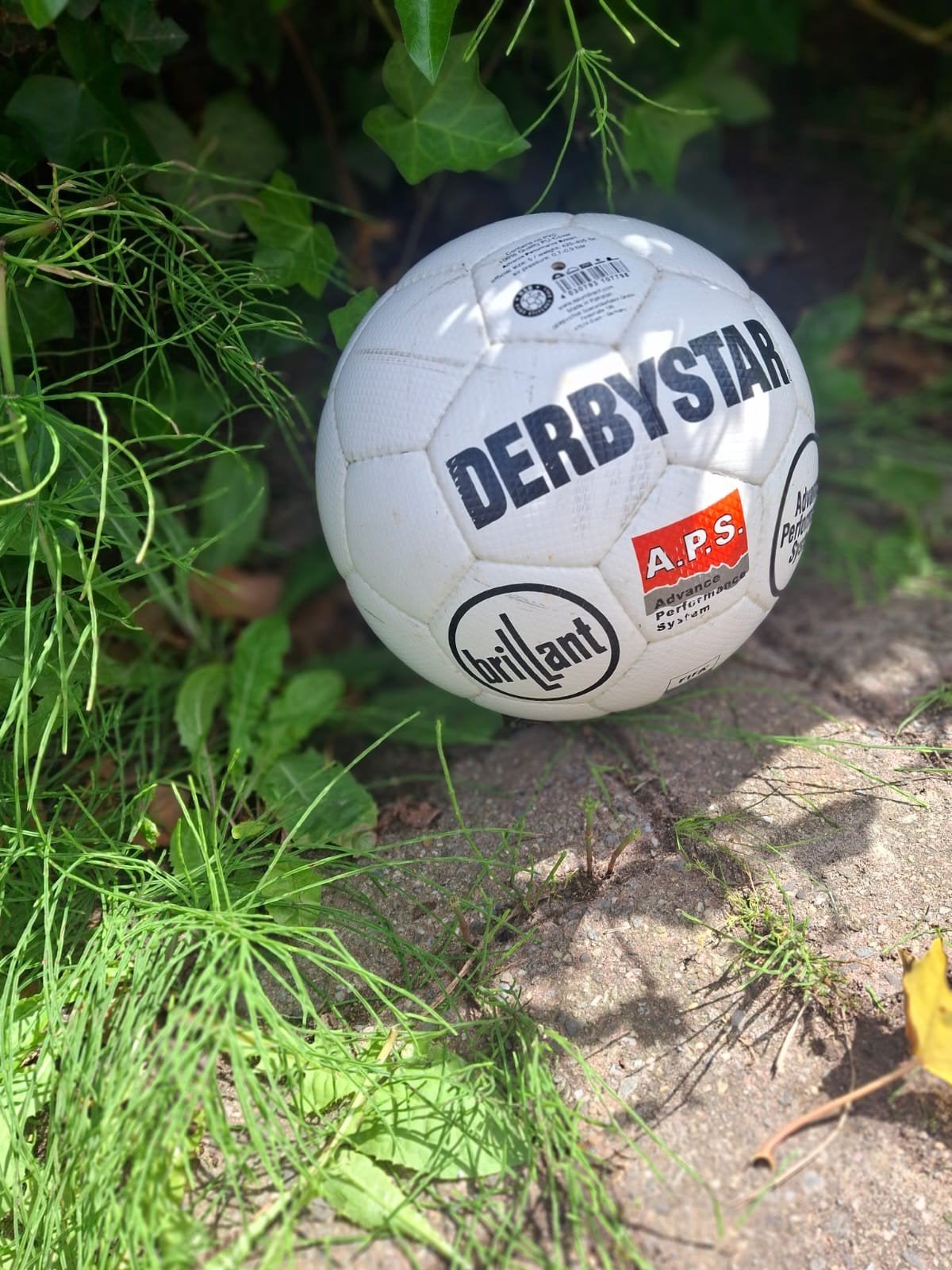 Mooie bal van Feyenoord (110€), Maat XL, Ophalen of Verzenden, Nieuw, Bal