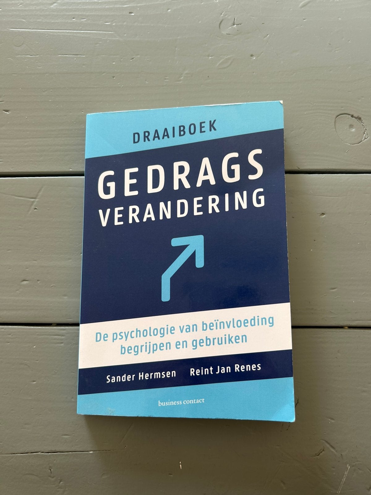 Reint Jan Renes - Draaiboek gedragsverandering, Sociale wetenschap, Reint Jan Renes; Sander Hermsen, Ophalen of Verzenden, Zo goed als nieuw
