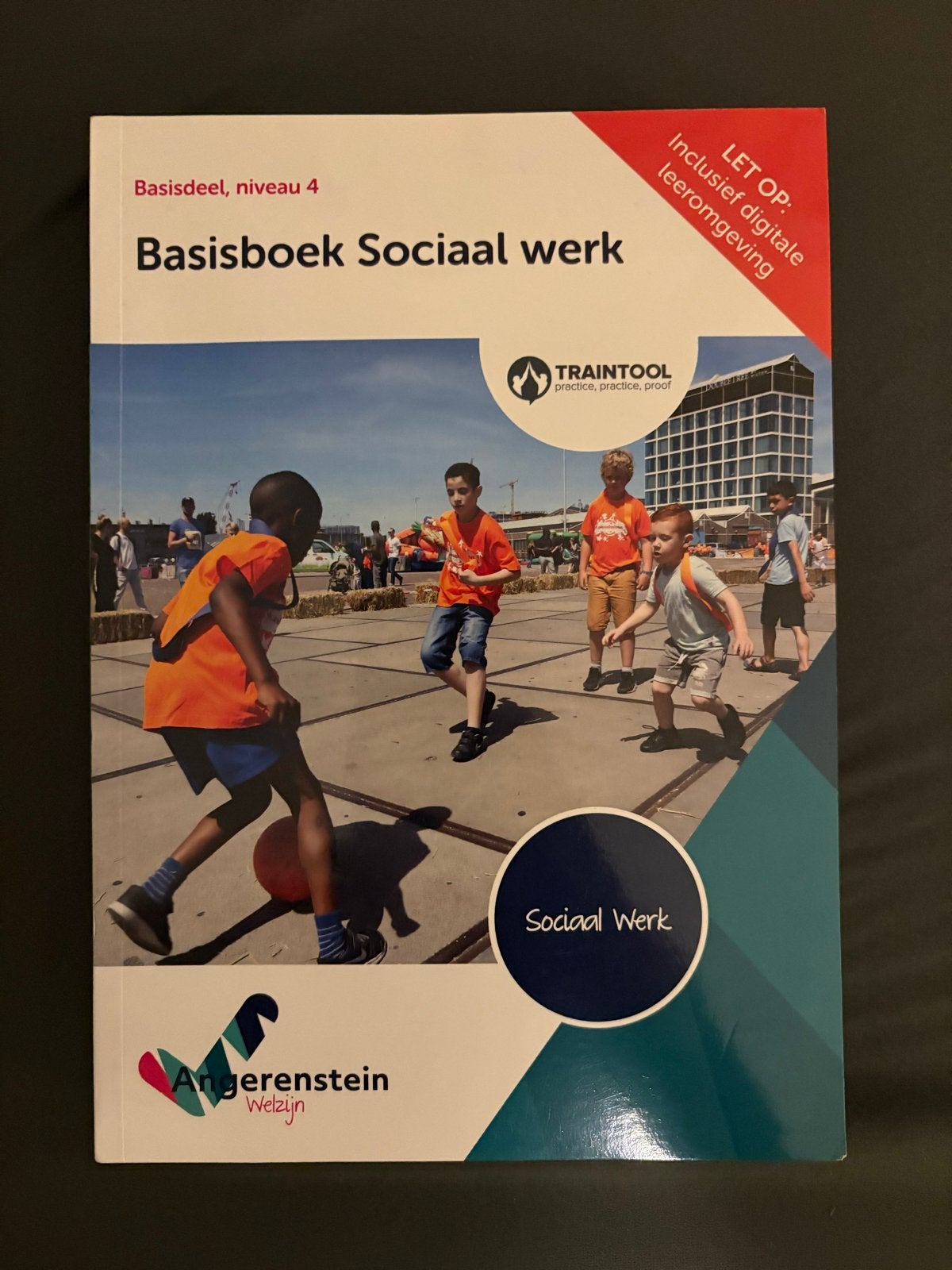 Basisboek Sociaal werk - Angerenstein Welzijn (incl. licenti, Boeken, Ophalen of Verzenden, Alpha, Zo goed als nieuw, MBO