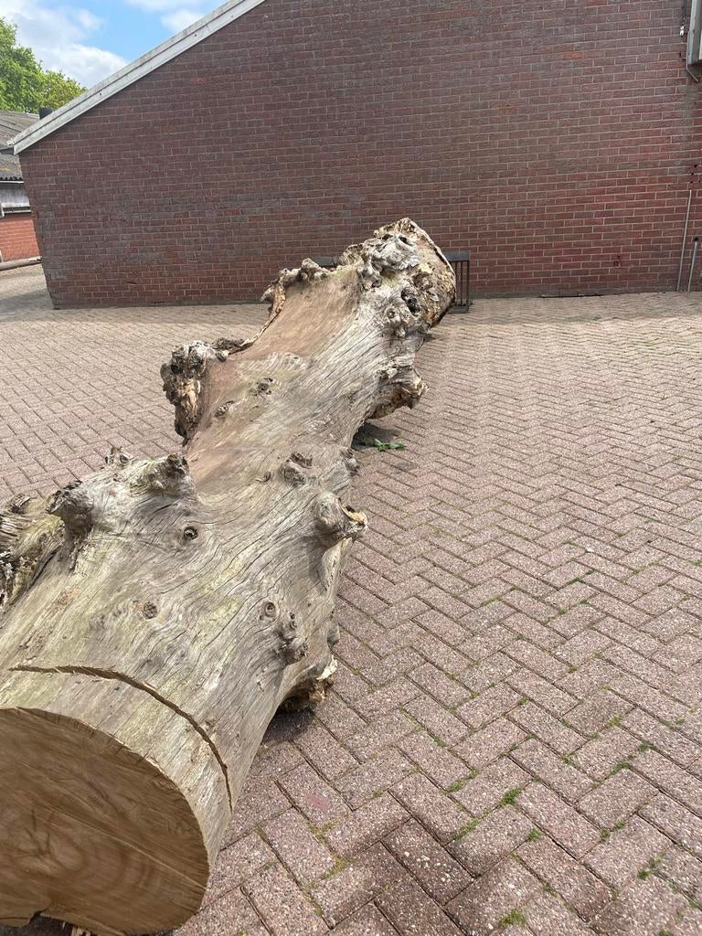 eiken boomstam, Doe-het-zelf en Verbouw, Hout en Planken, Gebruikt, Eiken, Overige typen, Ophalen of Verzenden