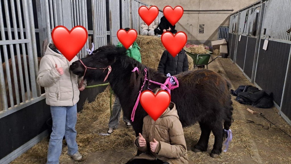 ❤️Geweldige Bomproof zwarte Kinder Bixiepony Shetlander❤️, Merrie, A pony (tot 1.17m), 7 tot 10 jaar, Recreatiepony