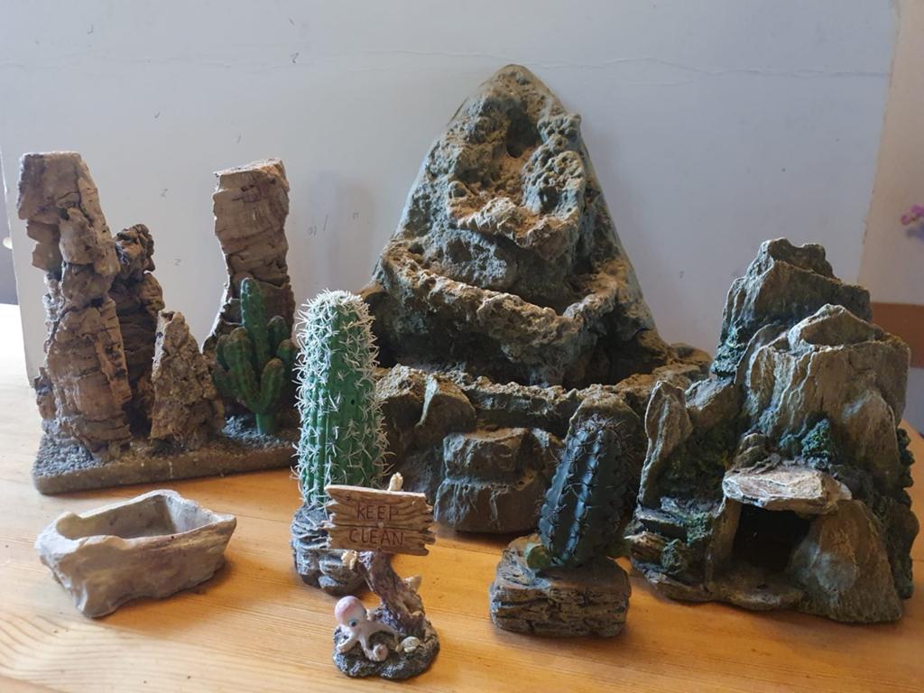 7 items voor het terrarium., Ophalen of Verzenden, Gebruikt, Tak, Plant, Rots of Steen