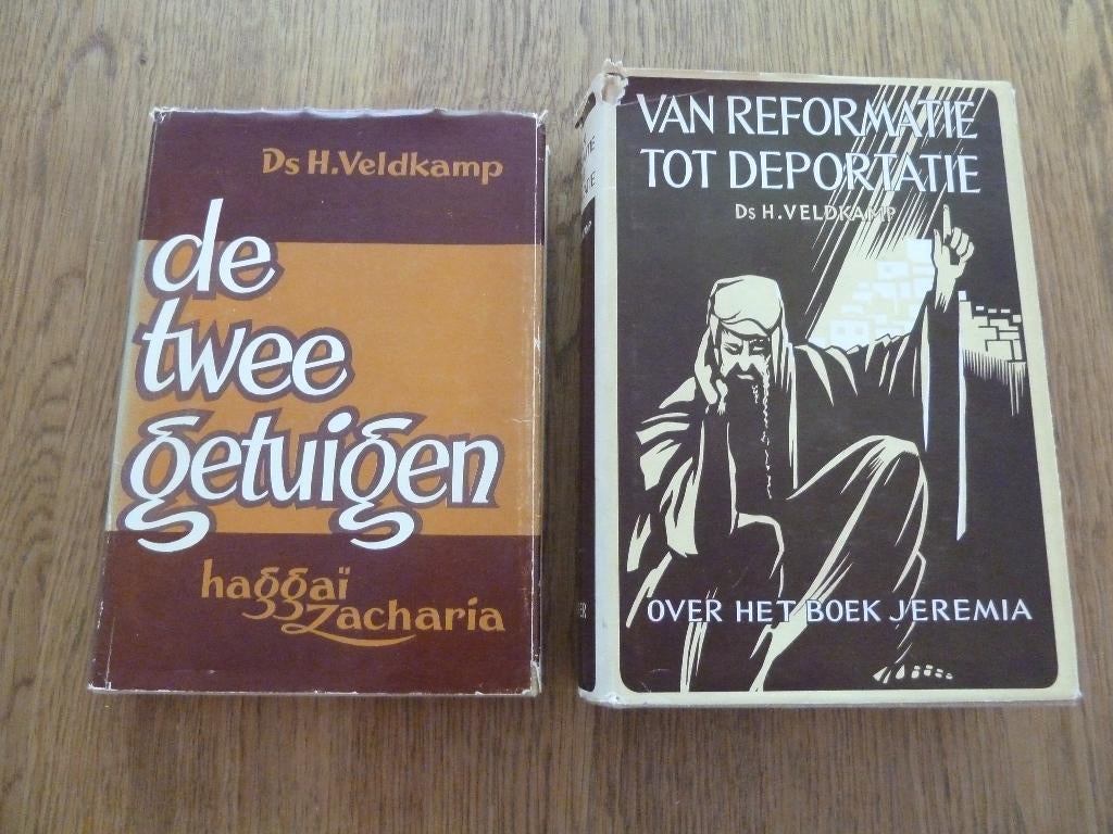 o.a. De twee getuigen van Ds H. Veldkamp, Boeken, Ophalen, Gelezen, Christendom | Protestants