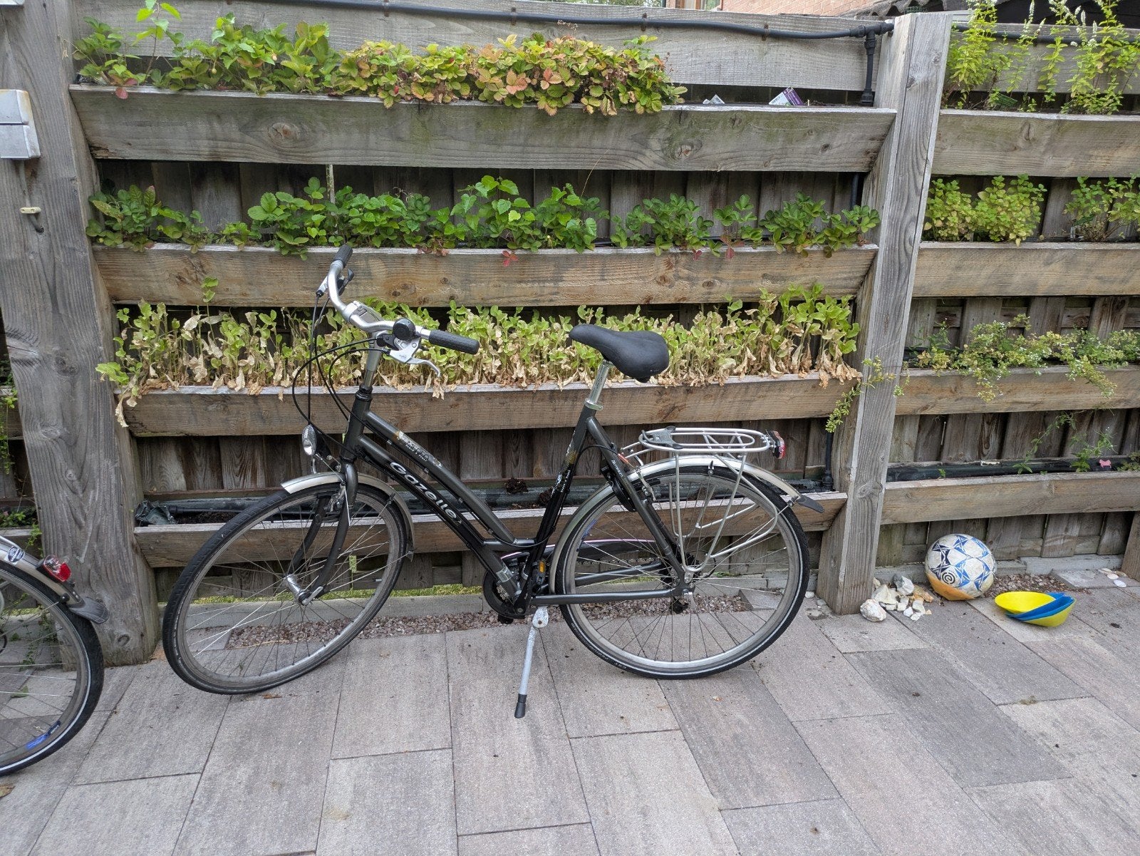 Gazelle Medeo Track & Trail Dames fiets, Fietsen en Brommers, Fietsen | Dames | Omafietsen, 56 cm of meer, Ophalen of Verzenden