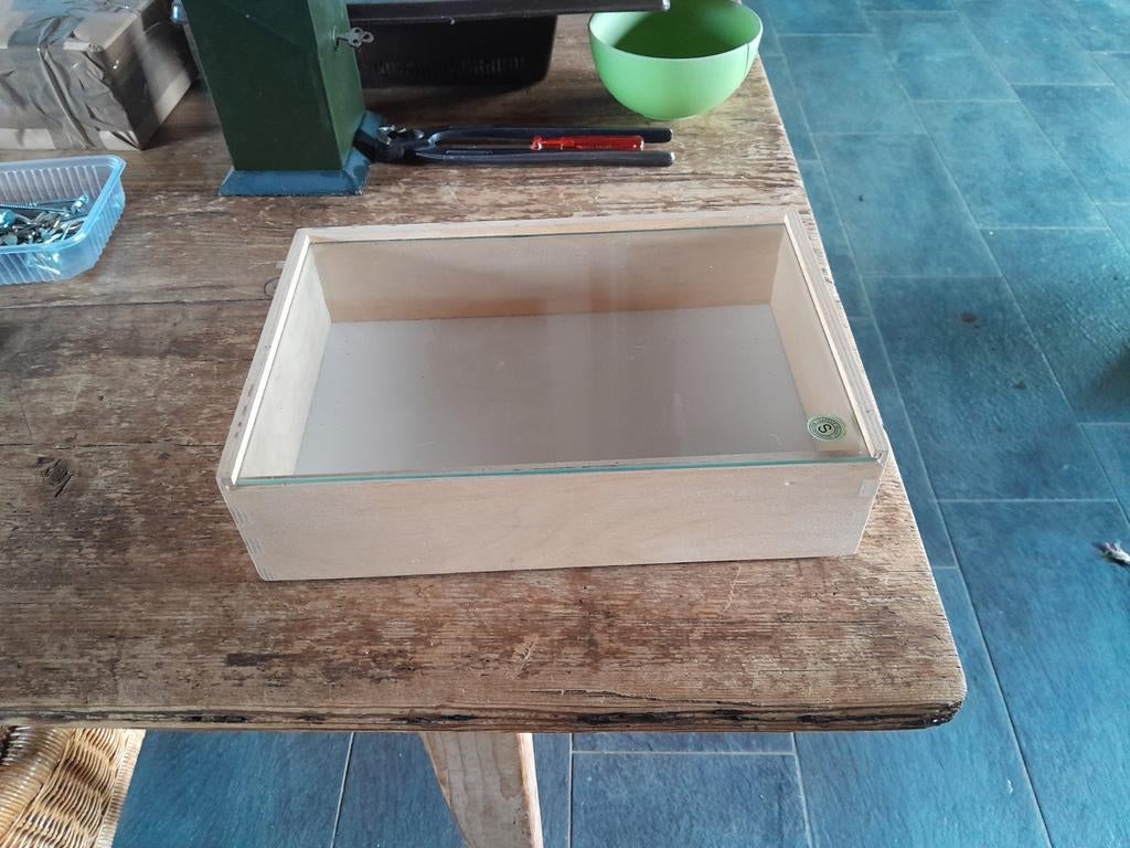 Houten vitrine met glazen deksel 31 x 21 x 8 cm, Ophalen