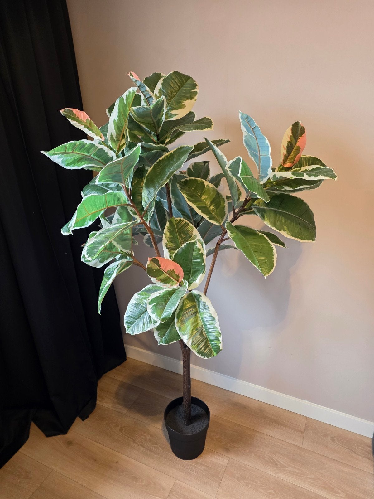 Prachtige kunst Ficus - Grote Kamerplant, Huis en Inrichting, Ophalen, Ficus, 100 tot 150 cm, In pot