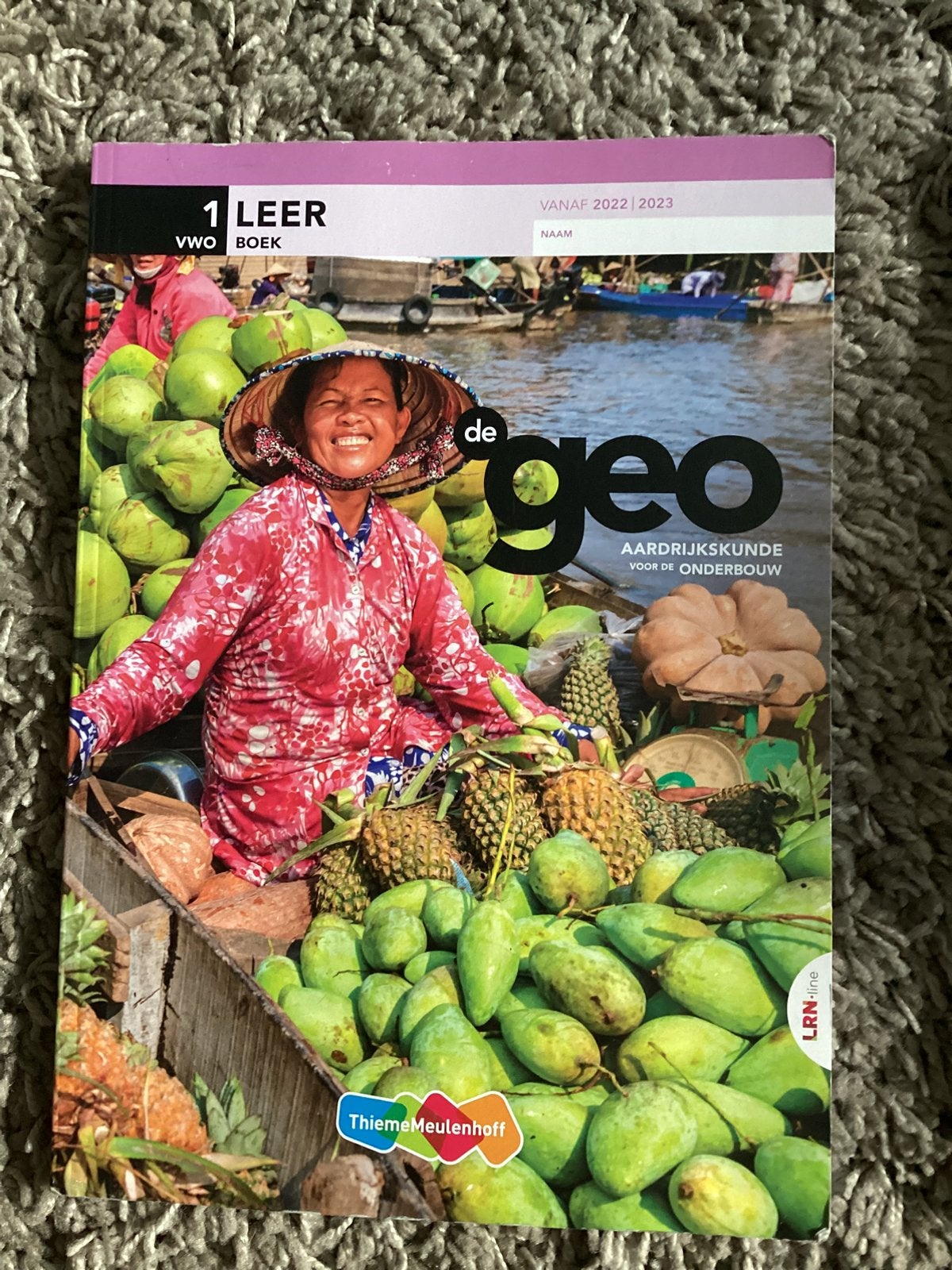GEO aardrijkskunde vwo 1 leer boek, Boeken, Ophalen of Verzenden, Zo goed als nieuw, VWO, Aardrijkskunde