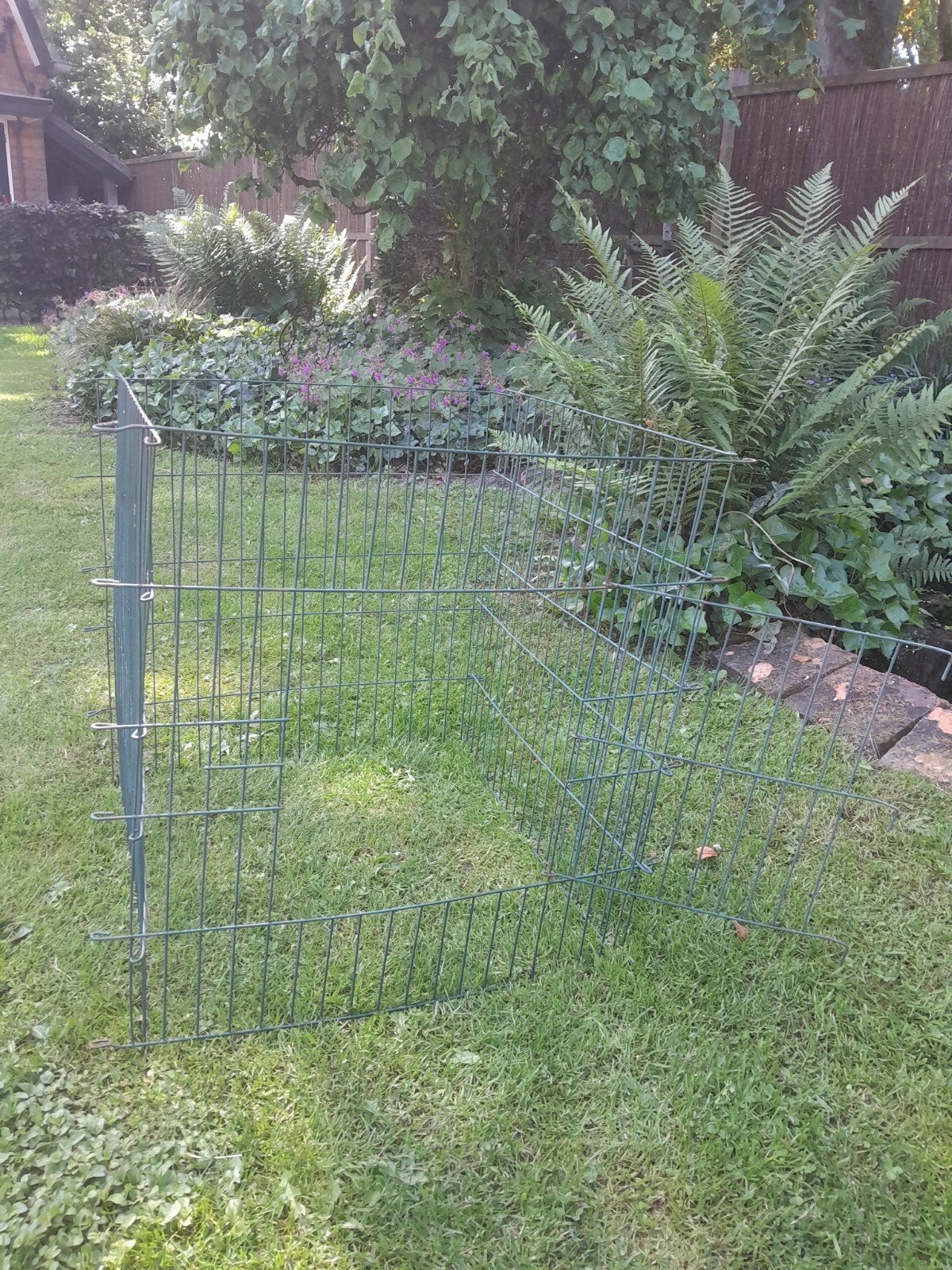 Buitenren ren ~ cavia konijn, Ophalen of Verzenden, Ren, Konijn, Minder dan 60 cm