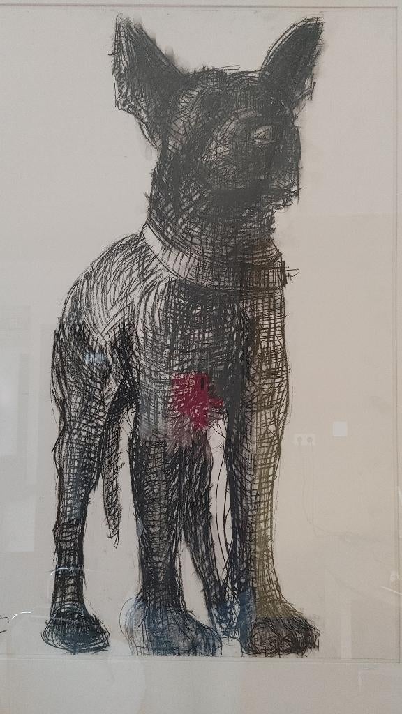 Mooie grote tekening siberisch krijt bouvier, Ophalen