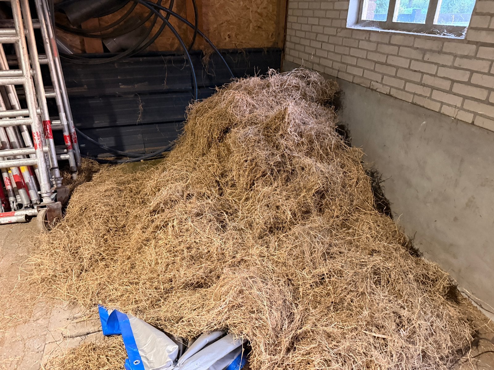 gratis hooi, Dieren en Toebehoren, Ophalen