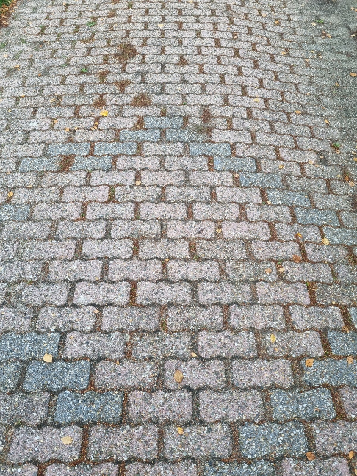 Klinkers gratis afhalen!, Ophalen, Gebruikt, Klinkers, 10 m² of meer