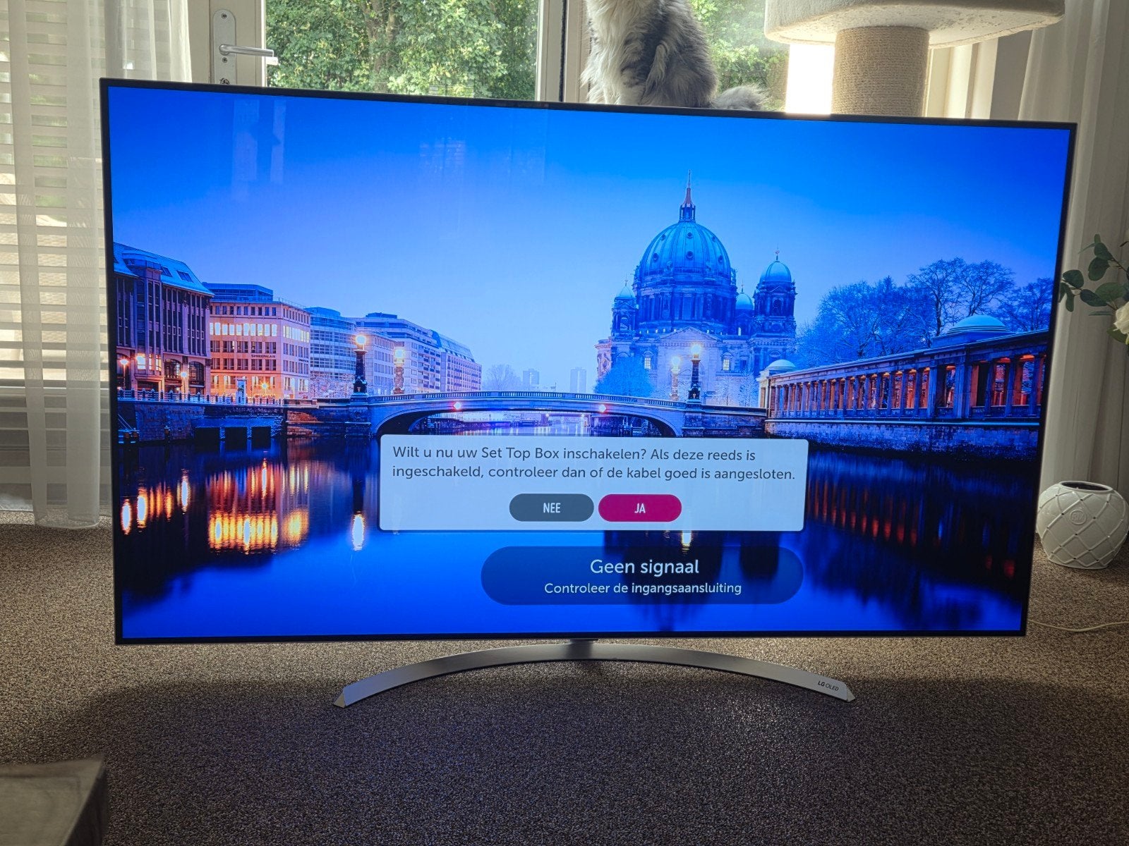 LG OLED Tv 65inch Te Koop!, Ophalen, Gebruikt, OLED, 100 cm of meer