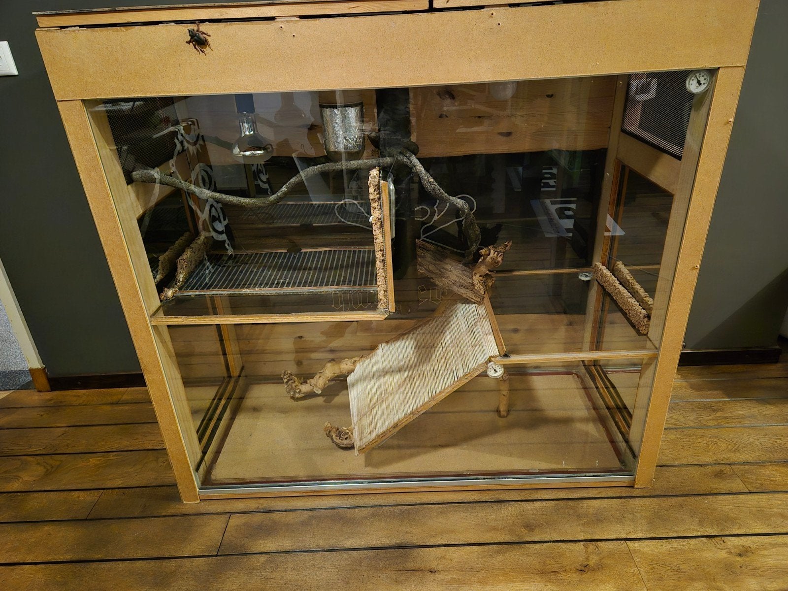 Terrarium 3 etages, Dieren en Toebehoren, Reptielen en Amfibieën | Toebehoren, Ophalen
