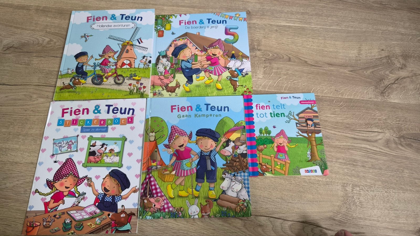 Fien & Teun boeken en stickerboek, Ophalen of Verzenden, Gelezen, Fictie algemeen