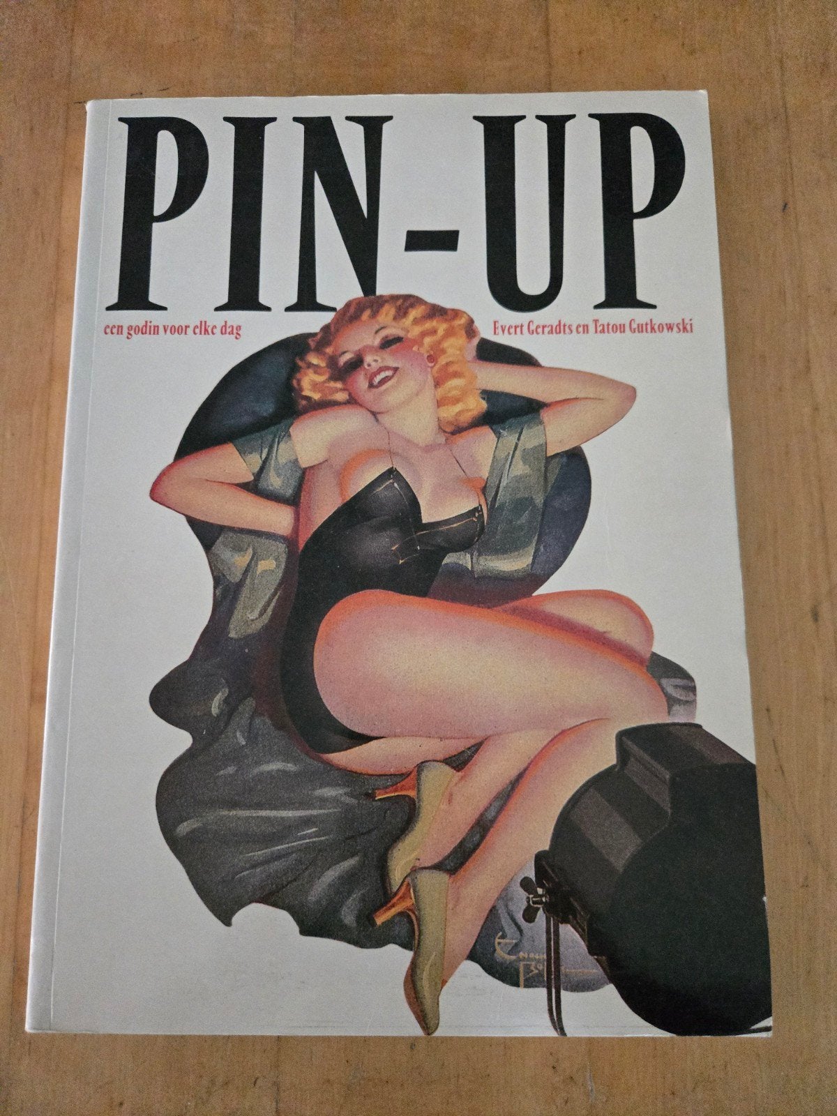 Pin Up een godin voor elke dag, Boeken, Ophalen of Verzenden, Zo goed als nieuw