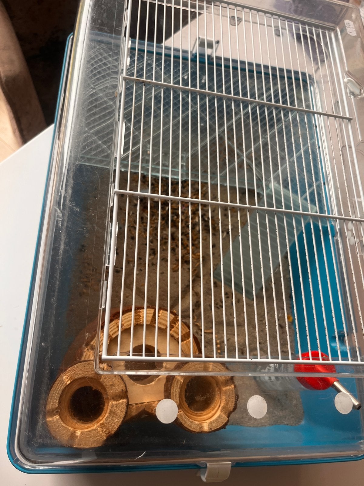 Hamster’s cage with accesories and food, Dieren en Toebehoren, Ophalen