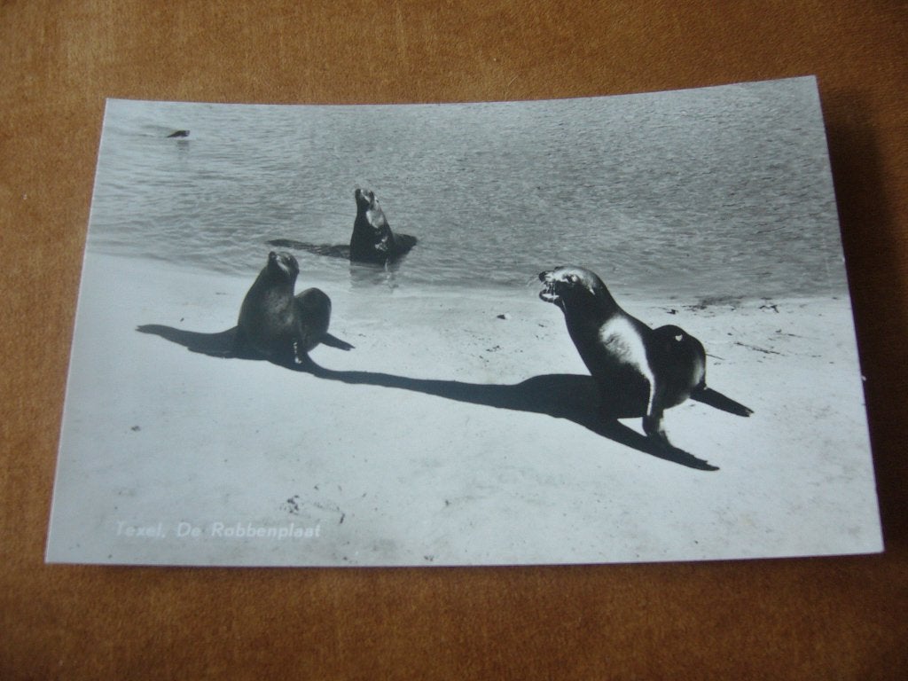 TEXEL  =  DE ROBBENPLAAT, Ophalen of Verzenden, 1940 tot 1960, Gelopen, Waddeneilanden