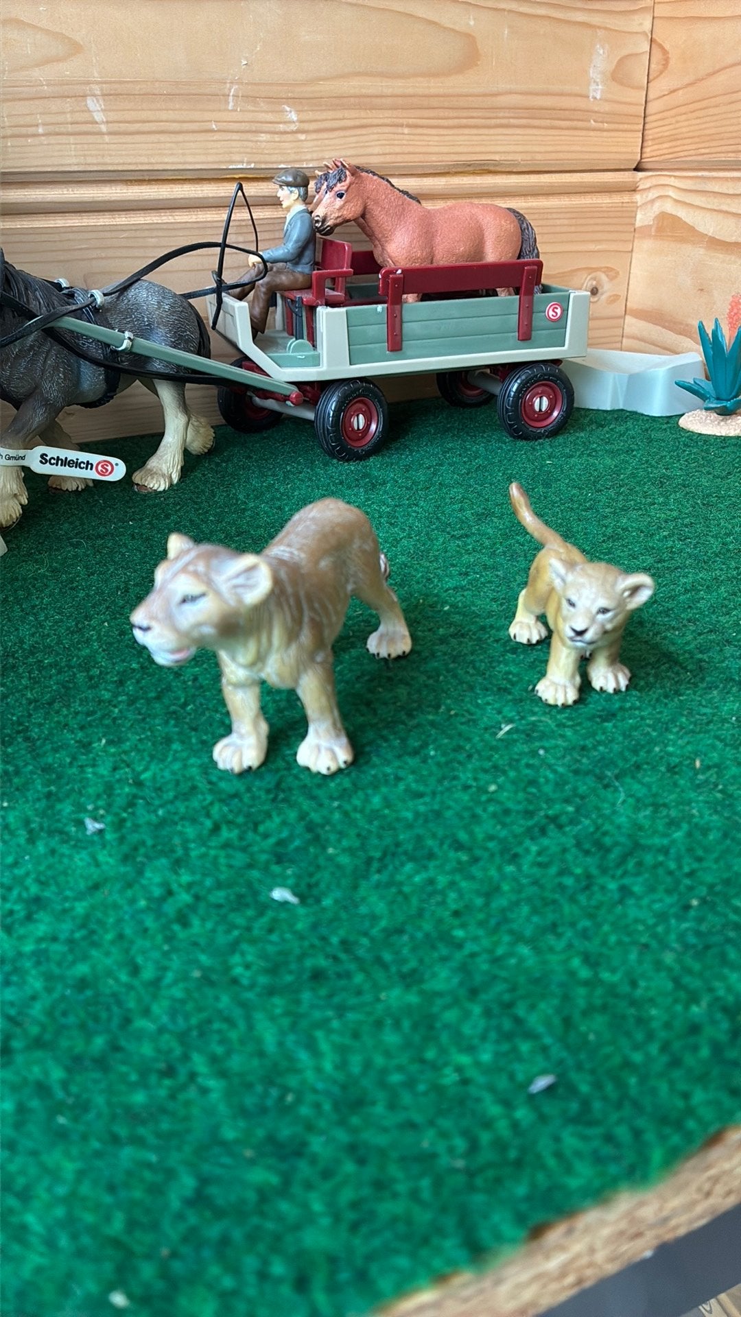 Schleich leeuwen, Ophalen of Verzenden, Zo goed als nieuw, Paard, Beeldje of Figuurtje