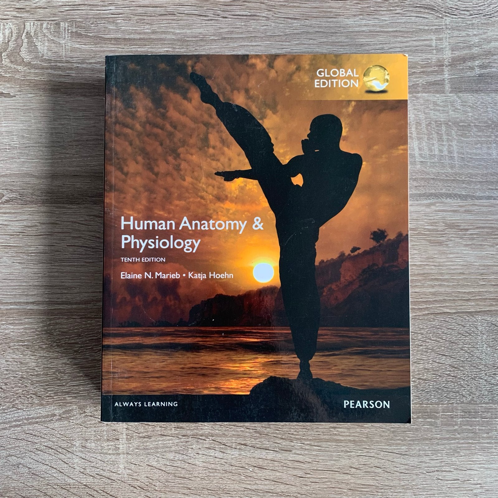 Human Anatomy & Physiology - Tiende Editie, Ophalen, Beta, Zo goed als nieuw, WO