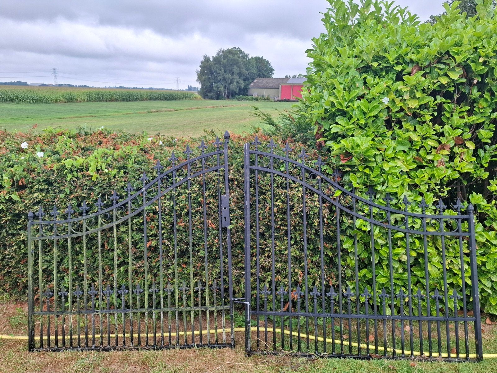 Complete poort sierhekwerk - Zwart ijzeren hek, Tuin en Terras, Tuinhekken en Hekwerk, Ophalen, Met poort, Gebruikt, Sierhekwerk