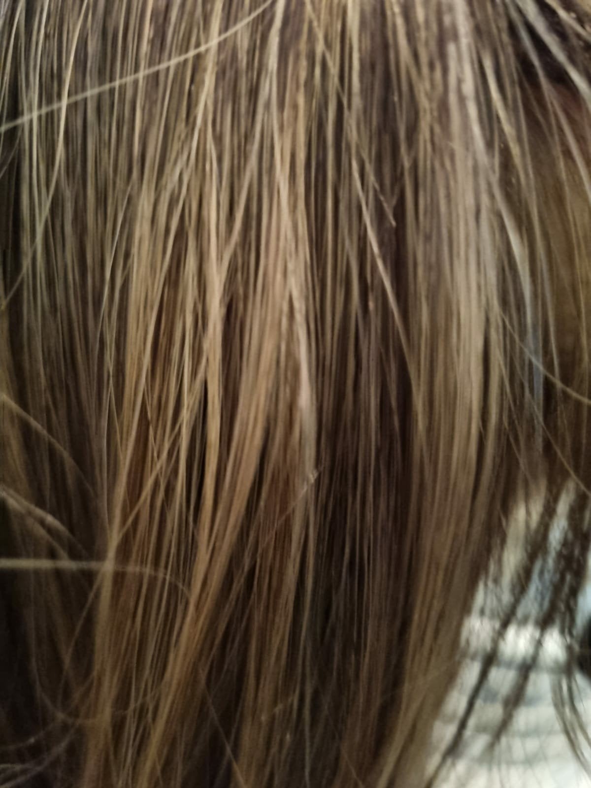 Bruin blond Haarwerk/Pruik 24 inch, Ophalen of Verzenden, Nieuw, Pruik of Haarverlenging