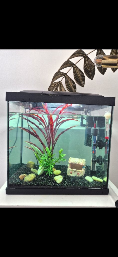 Aquarium superfish 30, Dieren en Toebehoren, Inclusief deksel, Ophalen of Verzenden, Zo goed als nieuw, Leeg aquarium
