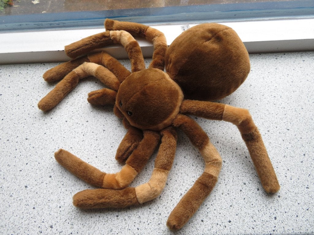 Bruin velours Spin Vogelspin? merk Toys Amsterdam, Overige typen, Ophalen of Verzenden, Zo goed als nieuw, Wasbaar