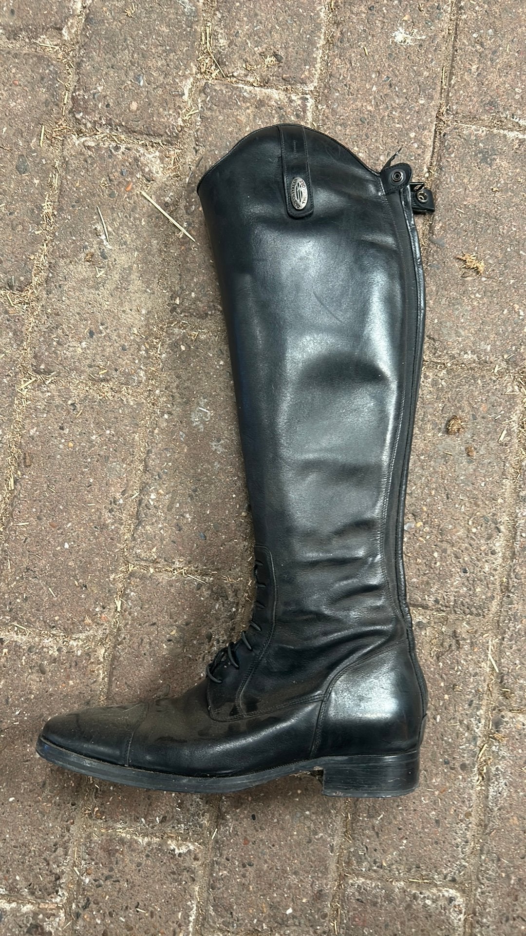 De Niro rijlaars tricolore 41, Dieren en Toebehoren, Paardrijkleding, Gebruikt, Ritssluiting, Dressuur, Overige merken