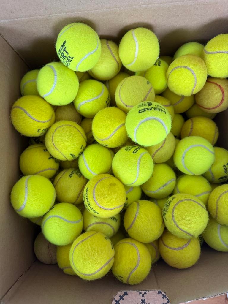 Tennisballen voor de hond, Dieren en Toebehoren, Hondenspeelgoed, Ophalen of Verzenden, Gebruikt, Intelligentiespeelgoed