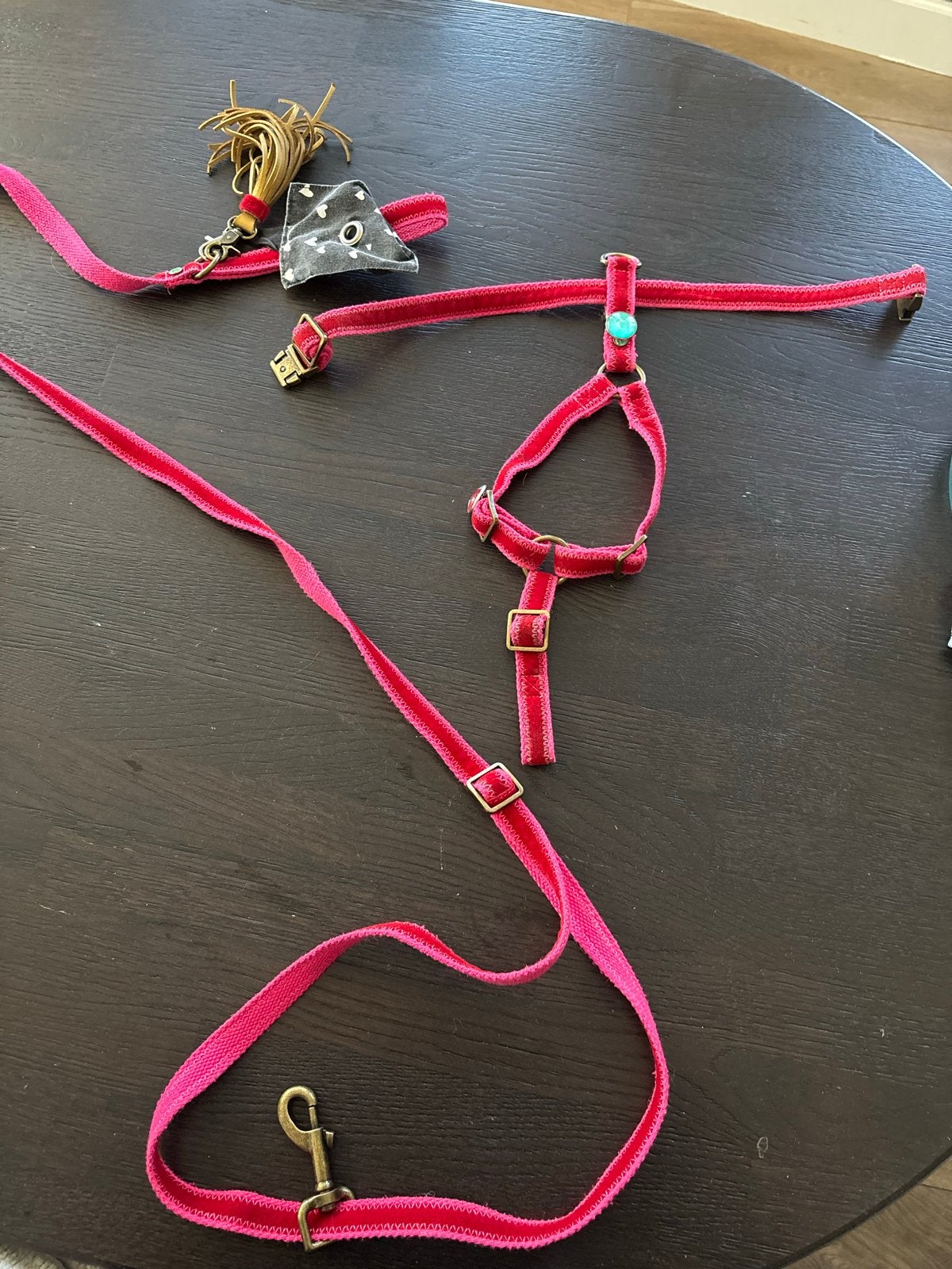 Hondentuig met bijpassende riem, Ophalen of Verzenden