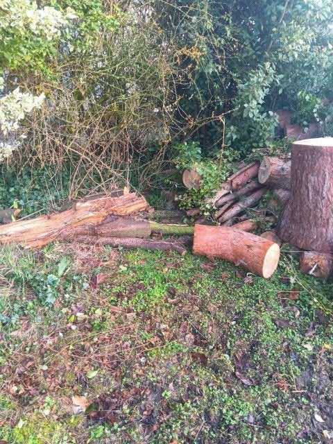 Grote houtblokken te koop - alleen afhalen Saintes (Brussel), Tuin en Terras, Haardhout, 3 tot 6 m³, Ophalen, Overige houtsoorten