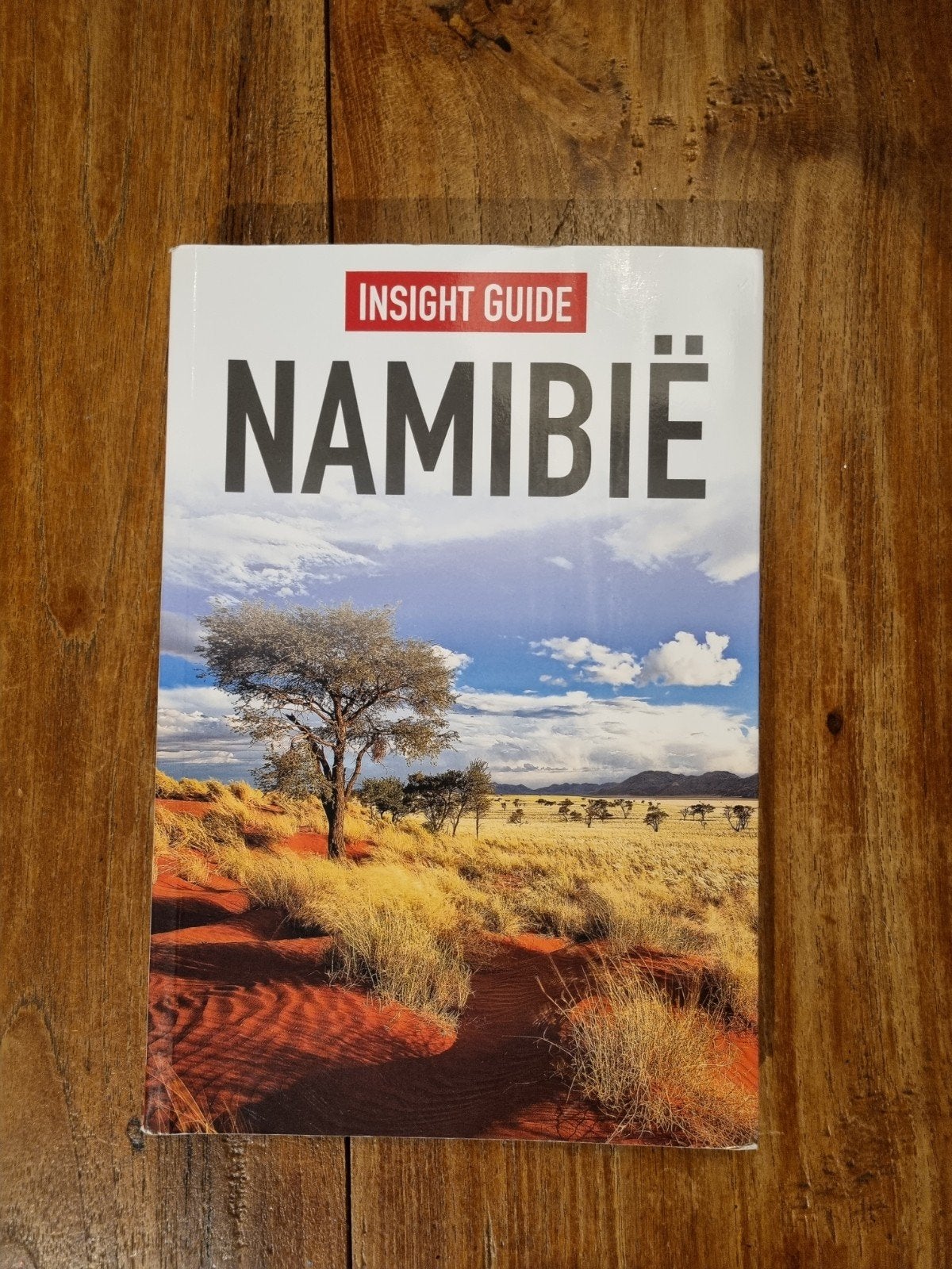 Insight Guide Namibië - Reisgids met prachtige foto's, Afrika, Ophalen of Verzenden, Zo goed als nieuw, Reisgids of -boek