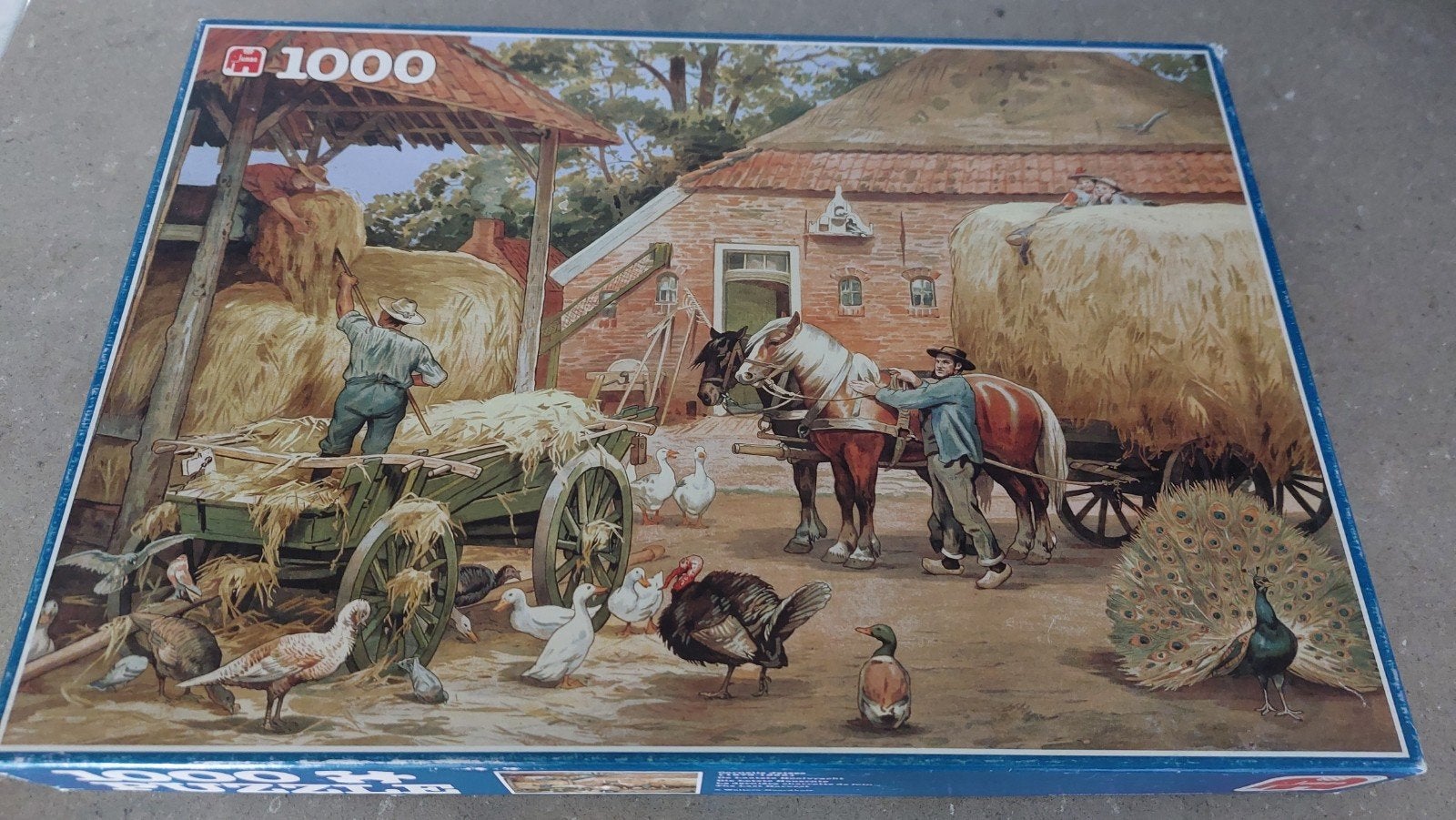 Jumbo Legpuzzel 1000 stukjes - Compleet, Ophalen of Verzenden, 500 t/m 1500 stukjes, Gebruikt, Legpuzzel